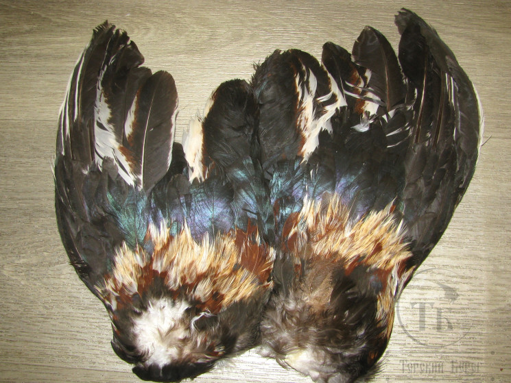 Крылья петуха Cock Wings Dk. Fiery Variant ( 1 пара )