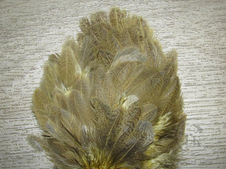 Перья курицы рябые Hen Feathers Barred Lt. Olive ( мелкое перо )