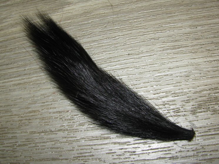 Часть хвоста белки Black