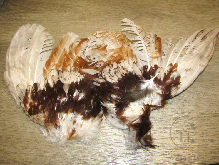 Крылья петуха 1 пара Cock Wings #2 ( распродажа П 130 )