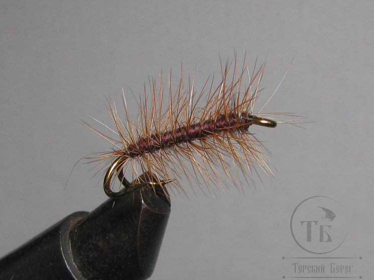 Муха на двойнике (ДВХ № 56)  Brown Palmer кр. № 10