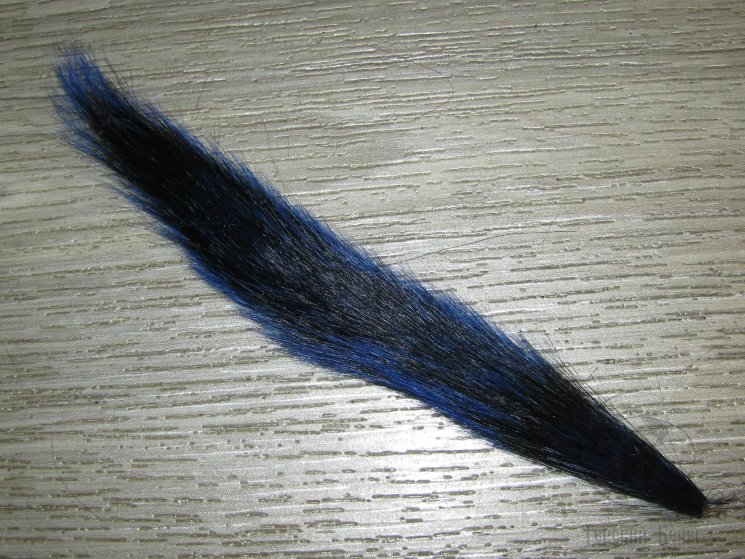 Часть хвоста белки Blue