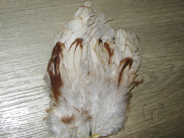 Хвост петуха Cock Tail Short Cream ( распродажа П 133 )