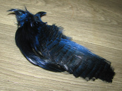 Золотой фазан комплект (шея, голова) Golden Pheasant Complete Head Blue