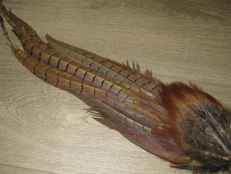 Целый хвост самца охотничьего фазана Cock Pheasant Complete Tail Natural # 2 градация