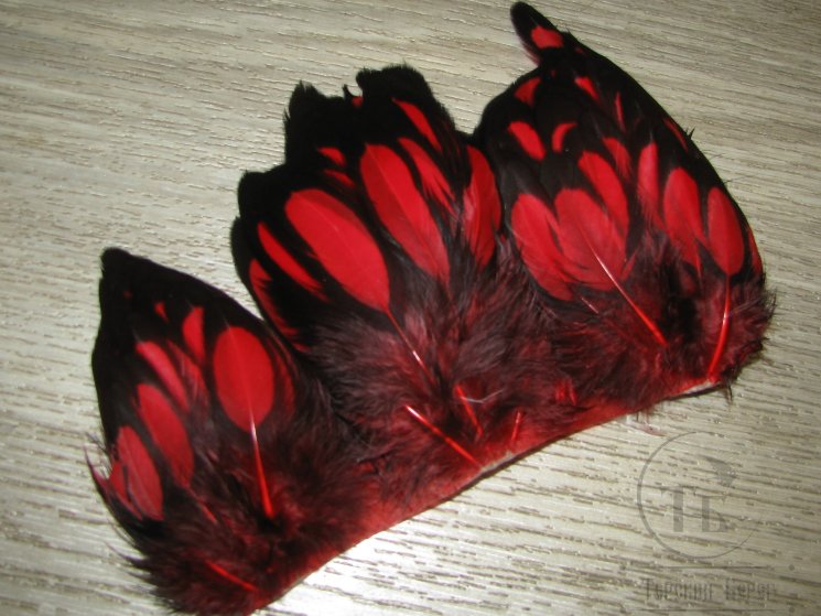 Куриное перо Hen feathers BLW Red