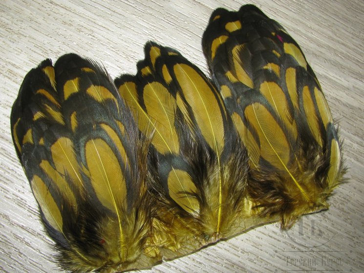 Куриное перо Hen feathers BLW Golden Olive