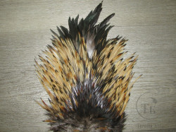 Седло петуха Indian saddle Ginger Mix Black Tips Pr.