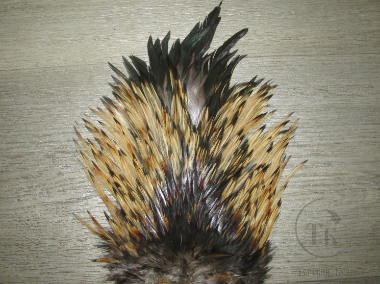 Седло петуха Indian saddle Ginger Mix Black Tips Pr.