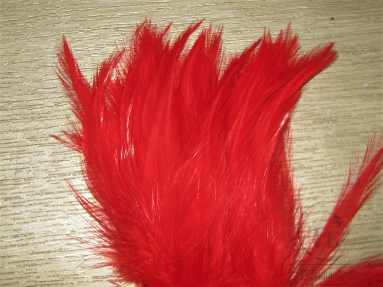 Перо скальпа петуха алое / Strong neck hackle Scarlet 3XL CF