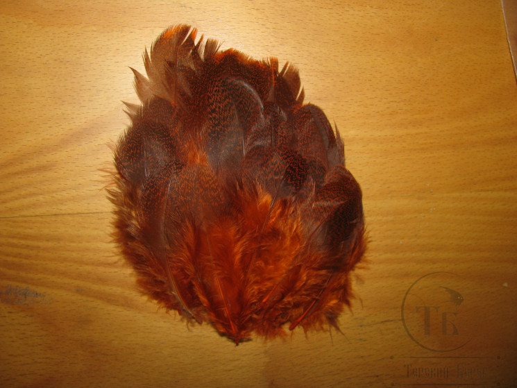 Перо глухаря рябое Tone Orange ( распродажа П- 80 )