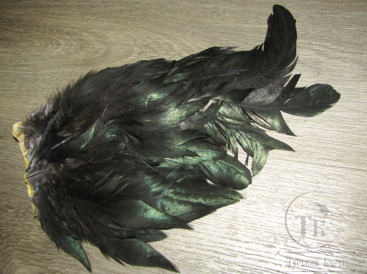 Хвост петуха целый Black Peacock Sm.