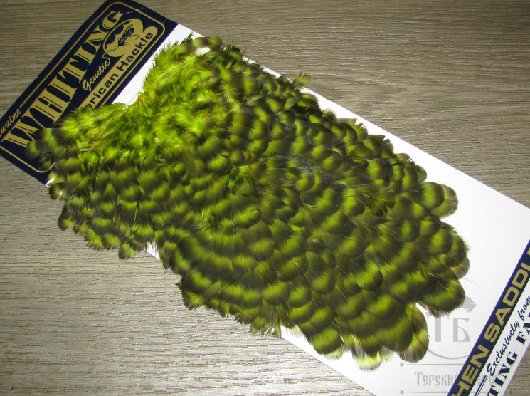 Курица седло American Hen Saddle Grizzly Fl. Yellow Chartreuse Whiting