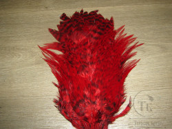 Седло петуха Indian saddle Red Barr. XL