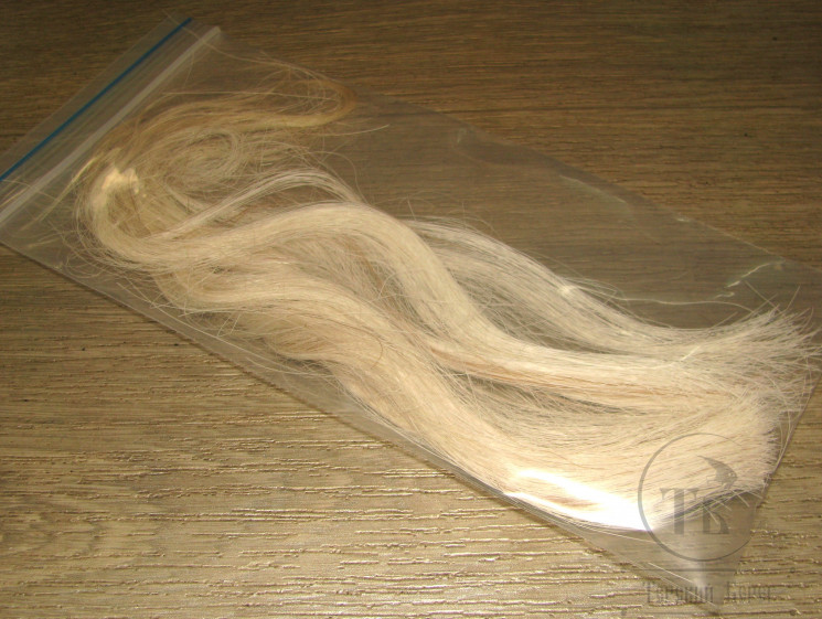 Horse's tail White