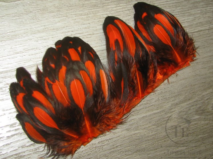 Куриное перо Hen feathers BLW Orange
