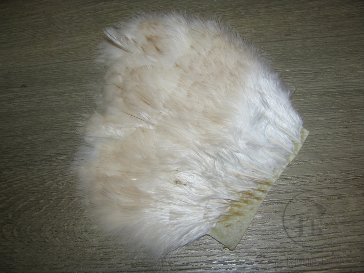 Перо курицы на коже Soft Hackle Chicabou Cream / White ( распродажа П- 136 )