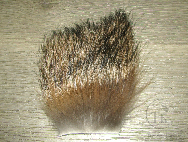 Мех койота со спины Coyote Back Fur