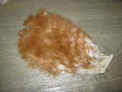 Перо курицы на коже Soft Hackle Chicabou Ginger ( распродажа П- 138 )