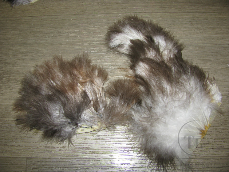Перо курицы на коже Chicabou Lt. Grey ( распродажа П- 139 )