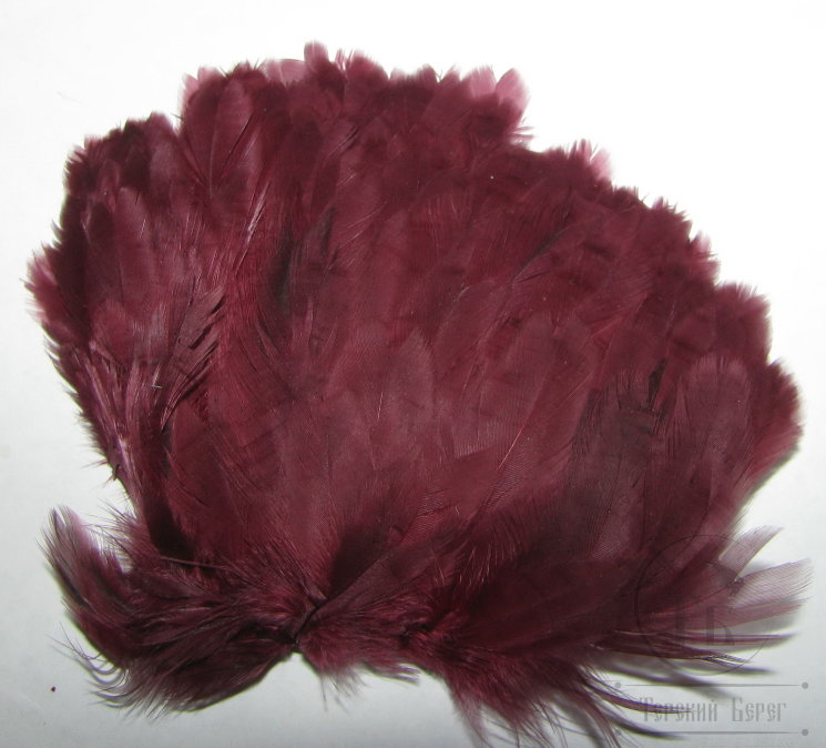 Куриное перо Hen feathers винно красный (claret)