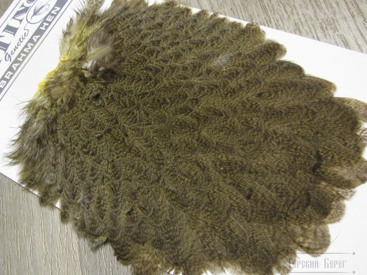 Курица седло Brahma Hen Saddle Pale Yellow Whiting