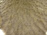 Курица седло Brahma Hen Saddle Pale Yellow Whiting