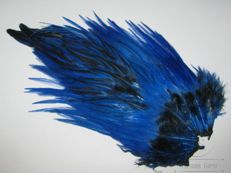 Седло петуха Indian Saddle Blue XL