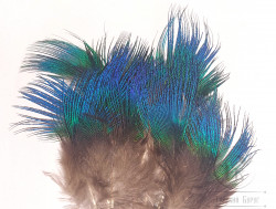 Peacock Blue Neck ( 12 шт, 3-5 см )