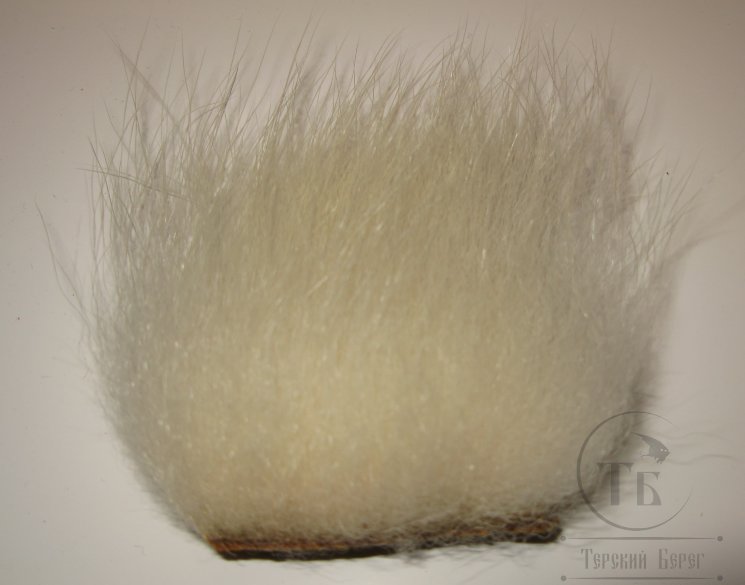 imi polar bear natural standart