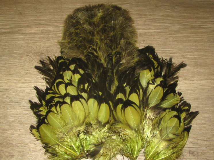 Перо курицы American Hen Soft Hackle W/Chickabou  BLW / Olive  Whiting