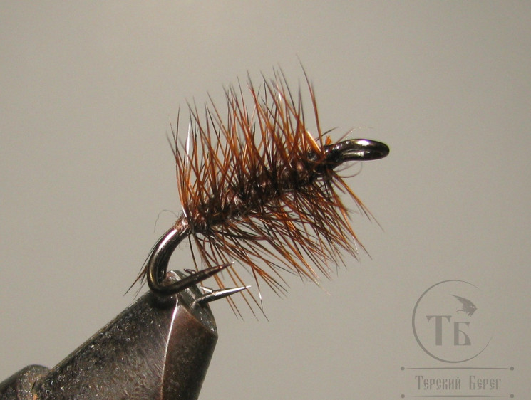 Муха на двойнике (ДВХ № 3)  Brown Palmer кр. № 12