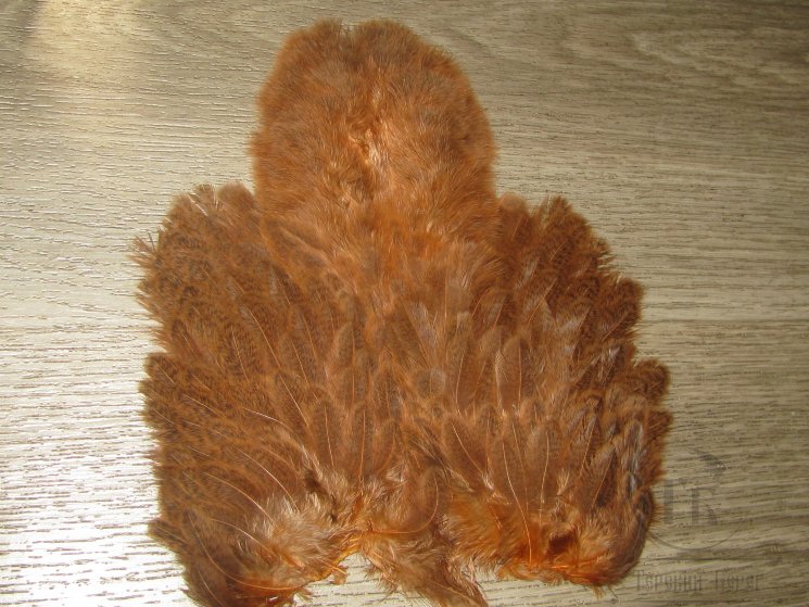 Перо курицы рябое Brahma Hen Soft Hackle  W/Chickabou Golden Brown  Whiting
