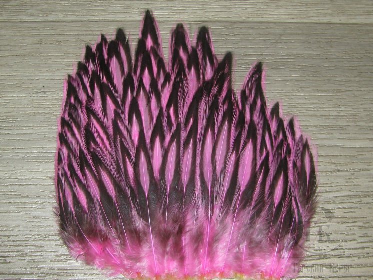 Куриные перья скальпа на коже BLW  (средняя часть)  Hen Cape American  BLW Fl Pink