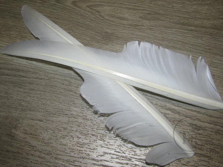 Перо лебедя Swan Biot Nat. White 1 пара биот