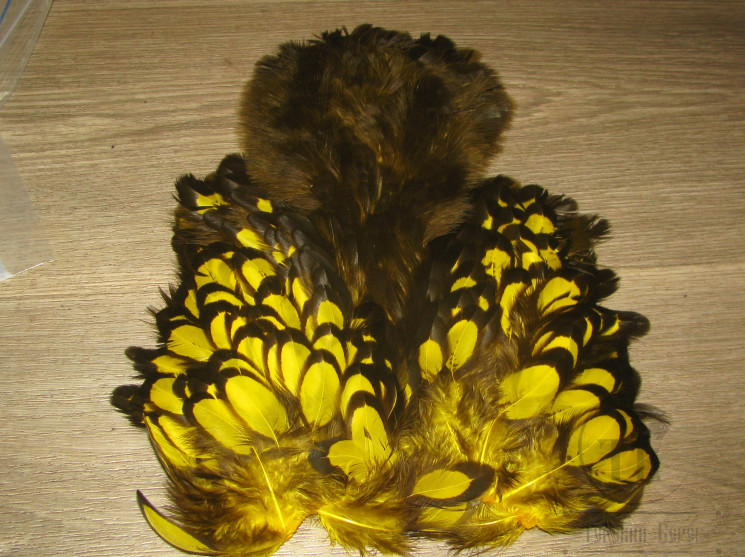 Перо курицы American Hen Soft Hackle W/Chickabou  BLW / Yellow Whiting