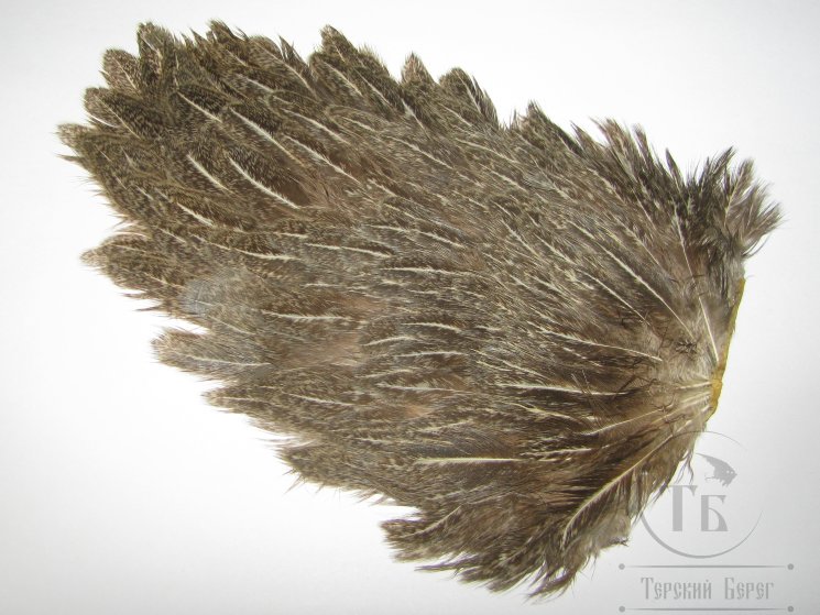 Курица седло Indian Hen Saddle Gray Barr. / Серое рябое