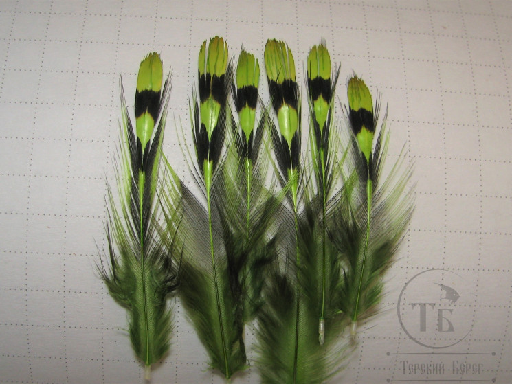 Перья джунглевого петуха Fl. Chartreuse MD (средние) 6 шт.