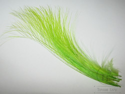 Имитация пера Heron Fine Fibre Fl. Chartreuse 10 fs XLg / Lg