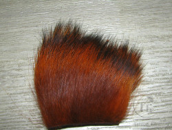 Temple dog Black Tips шкура Rusty ( 4 - 6 см )