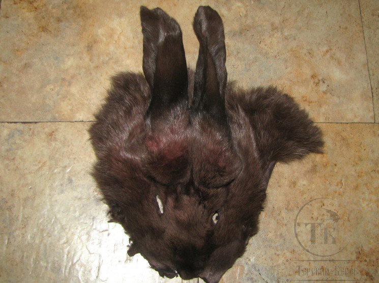 Маска зайца Hare Mask Brown / Коричневый