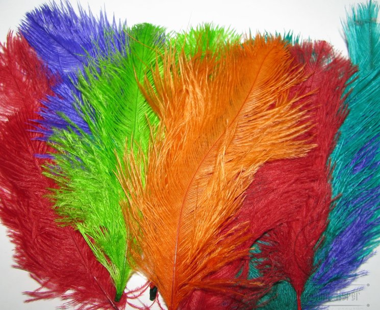 Мини страус Ostrich Marabou Mix