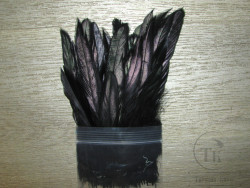 Перо петуха Strong Schlappen Premium Select Black Peacock