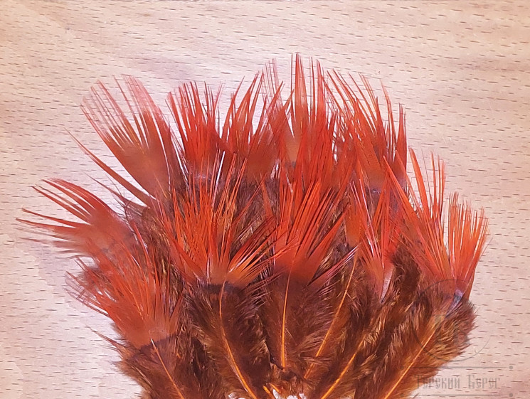 Перья Золотого фазана со спины / Golden Pheasant Back Feathers Tone Orange 