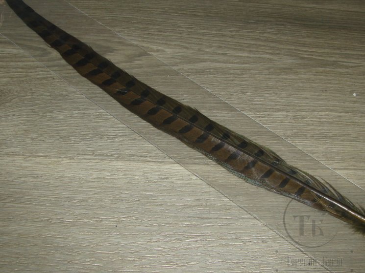 Центральное хвостовое перо охотничьего фазана оливково коричневое ( 1 шт ) Pheasant Ringneck Tail Olive Brown