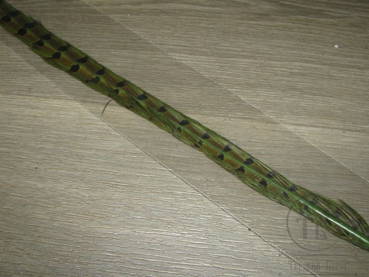 Центральное хвостовое перо охотничьего фазана зеленая олива ( 1 шт ) Pheasant Ringneck Tail Green Olive