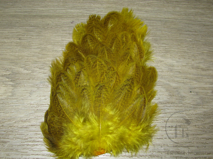Перо курицы рябое желтое 1/2 Brahma Hen Soft Hackle Tone Yellow Whiting (мелкое перо)