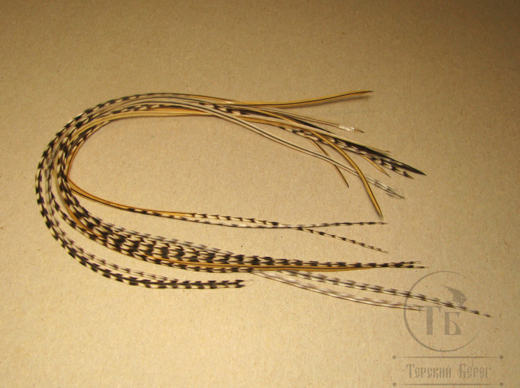 Перо Dry Fly (для сухих мух) 10 шт гризли баджер вариант крючки № 18