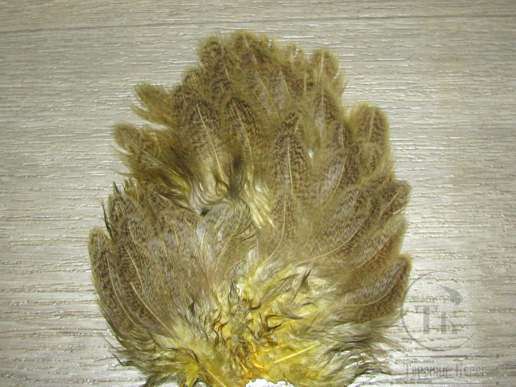 Перо курицы рябое светло оливковое 1/2 Brahma Hen Soft Hackle Lt. Olive Whiting (мелкое перо)