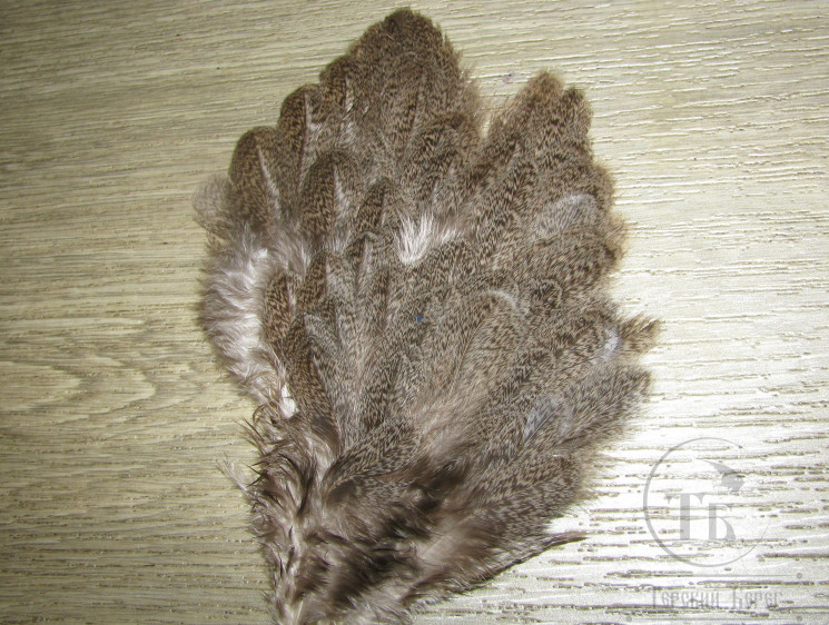 Перо курицы брахма рябое мелкое 1/4 Brahma Hen Soft Hackle Barred Gray Dun Whiting ( имитация куропатки ) HBS